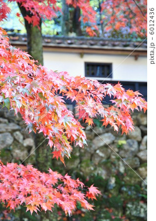 秋の横蔵寺 秋の横蔵寺 6012436
