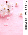 桜・和紙タテＰ02 6013147