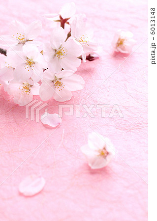 桜・和紙タテＰ01 6013148