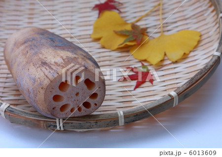 ザル入りの蓮根ともみじと銀杏(白背景) ザル入りの蓮根ともみじと銀杏(白背景) 6013609