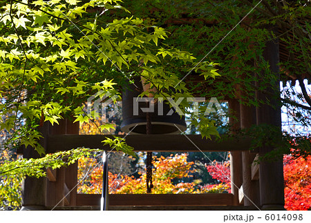 武蔵野散歩・鐘楼・平林寺 6014098