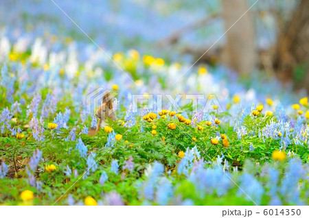 至福の時 6014350