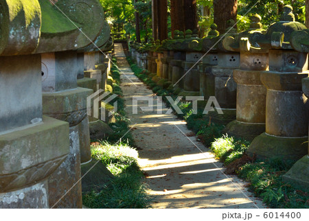武蔵野散歩・廟所参道　平林寺 6014400