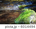 清流の中で光を浴びる苔むした岩1 6014494