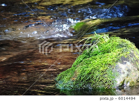 清流の中で光を浴びる苔むした岩1の写真素材