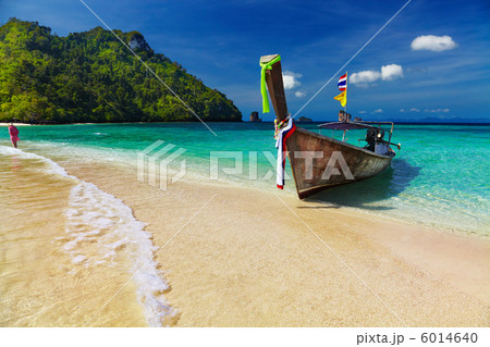 Tropical beach Tropical beach 6014640
