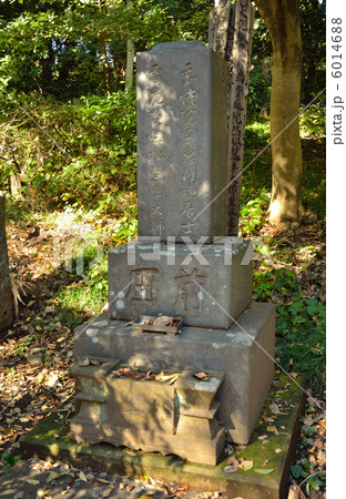 武蔵野散歩 前田卓 まえだつな 墓所 平林寺の写真素材