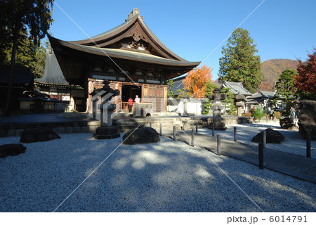 恵林寺の秋 山梨 恵林寺の秋 山梨 6014791