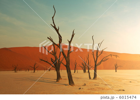 Namib 6015474