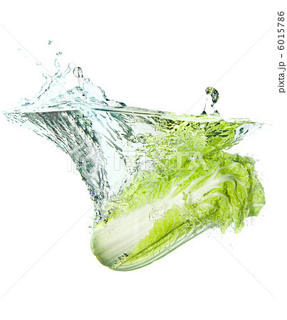 Beijing cabbage in water splash 6015786