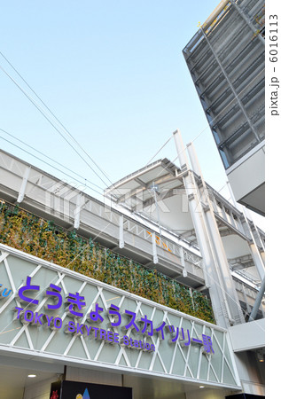 東京スカイツリー駅 6016113