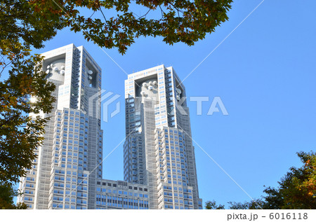 東京都庁 東京都庁 6016118