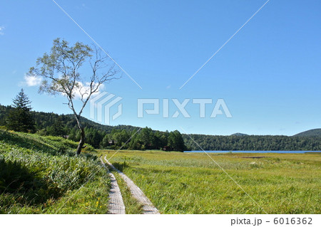 尾瀬ケ原 尾瀬ケ原 6016362