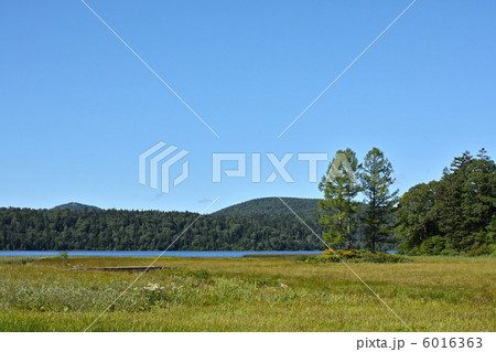 尾瀬ケ原 尾瀬ケ原 6016363