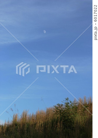 空 6017022