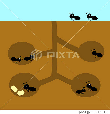 アリの巣のイラスト素材