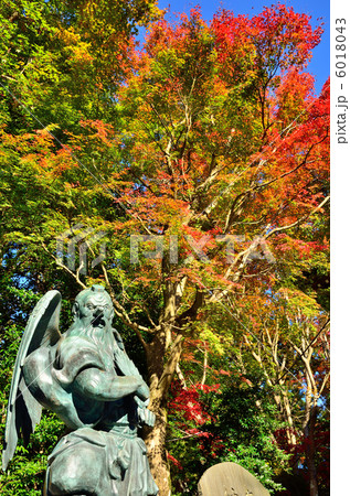 高尾山薬王院 6018043