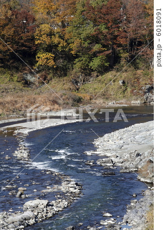 長瀞　荒川 6018091