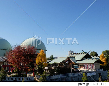 石浜神社 石浜神社 6018176