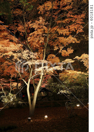 月の石もみじ公園 6018181