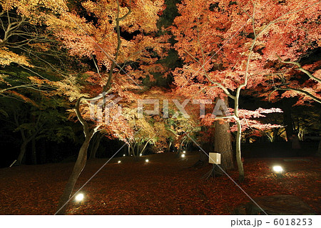 月の石もみじ公園 6018253