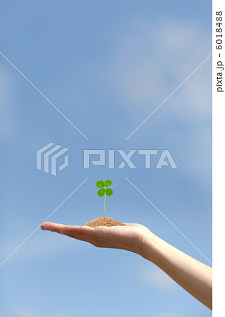 青空にクローバー 6018488