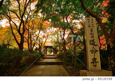 延命寺の紅葉 延命寺の紅葉 6018599