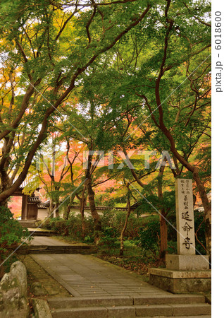 延命寺の紅葉 6018600