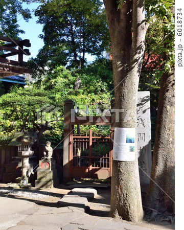 小野照崎神社の富士塚（東京都台東区） 6018734