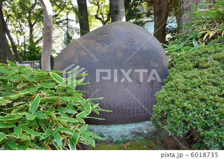 寛永寺の虫塚（蟲塚） 6018735