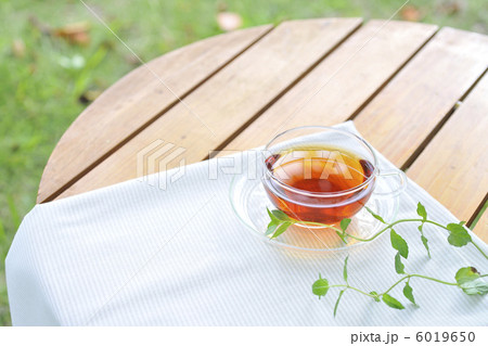 ハーブティー ハーブティー 6019650