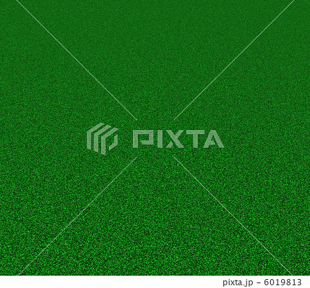 短い芝 短い芝 6019813