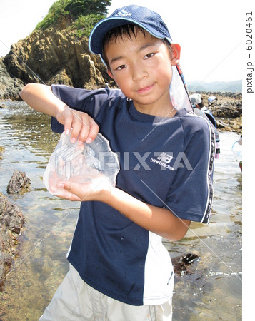 自然水族館 6020461