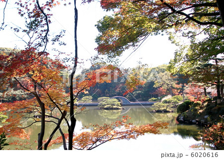 縮景園 縮景園 6020616