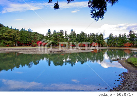 毛越寺　大泉ヶ池の風景 6020717