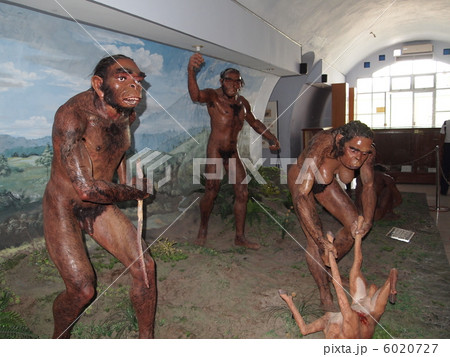 世界遺産 サンギラン博物館のジャワ原人の人形 世界遺産 サンギラン博物館のジャワ原人の人形 6020727