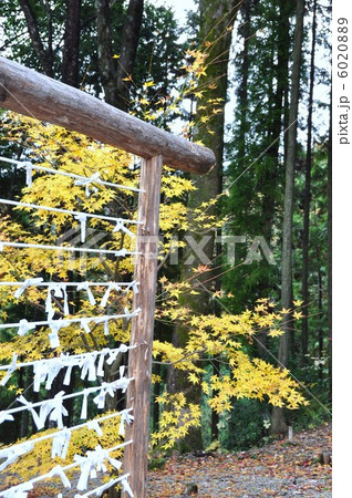 紅葉の川見薬師寺 紅葉の川見薬師寺 6020889