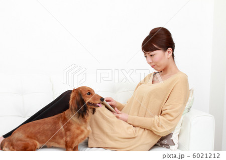 ソファーでスマホする女性と犬 ソファーでスマホする女性と犬 6021212