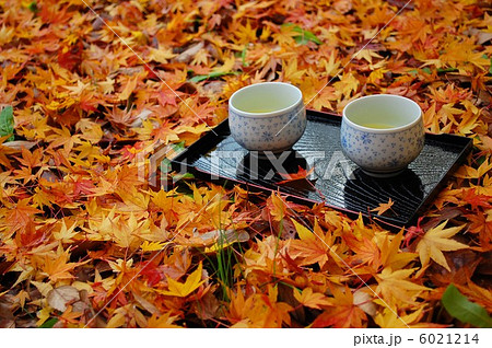 散り紅葉とお茶 6021214