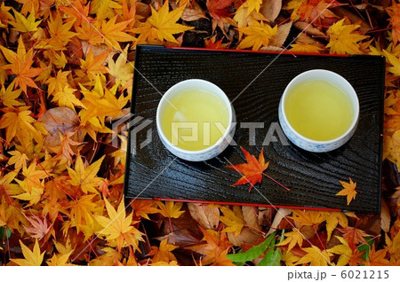 散り紅葉とお茶 6021215