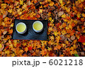 散り紅葉とお茶 6021218