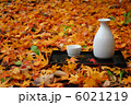 散り紅葉と酒 6021219