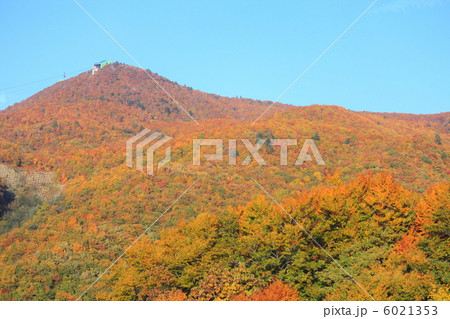 蔵王の紅葉 6021353