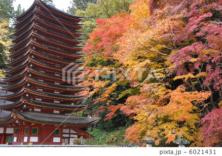 談山神社 6021431