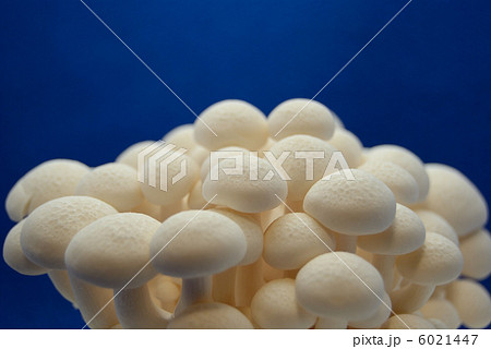 ぶなしめじ ぶなしめじ 6021447