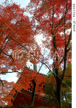 三滝寺 6021468