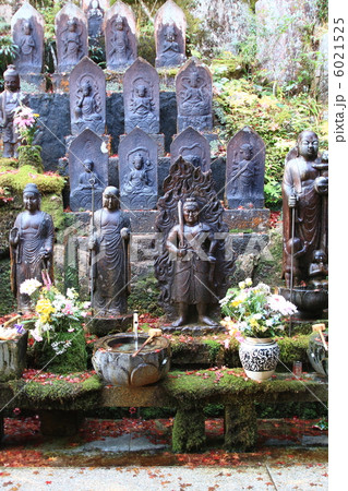 三滝寺 6021525