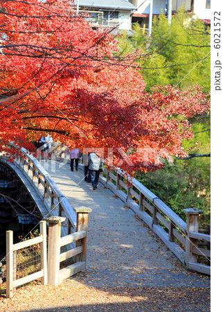 猿橋紅葉タテ 6021572