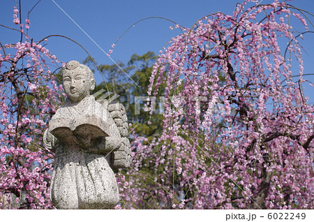 二宮金次郎像と枝垂れ梅 二宮金次郎像と枝垂れ梅 6022249