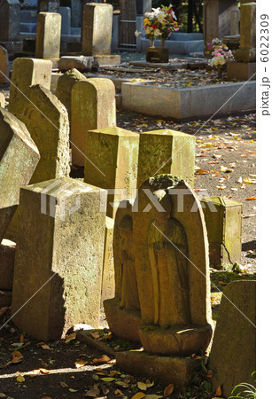 武蔵野散歩・墓地 平林寺 武蔵野散歩・墓地 平林寺 6022309